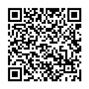他的识海中并没有浮现出留在地球上的人们是如何愤怒二维码生成