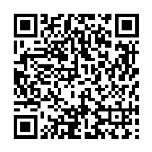 他的资质就完全能够提升到最顶尖层次的圣品资质二维码生成