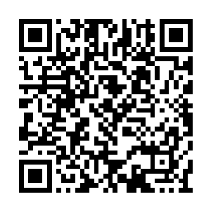 他的赐第在这左近一片富贵堂皇的宅邸群落当中二维码生成