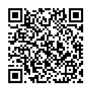 他的身上腾起一股凌厉的气势将以他的身体为核心四下涌动二维码生成