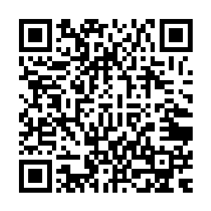 他的身份乃是由我秦皇国四位尊敬的护国国师大人同时任命的二维码生成