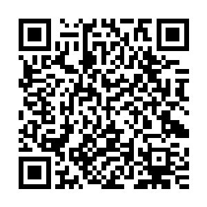 他的身体周围许多的红色真气正在如同是电离子一样迸发出来二维码生成