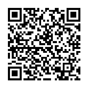 他的身体正在以肉眼可见的速度被一种特殊的毒液腐蚀二维码生成