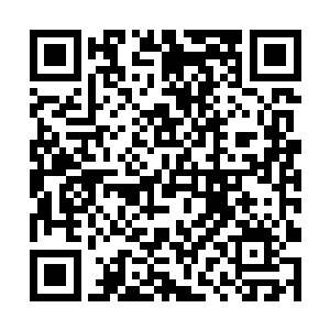 他的身子也不由自主的被那个御兽师带着快速的飞退二维码生成