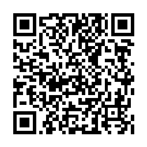 他的身边坐着的是秦洛的另外一个大熟人白残谱二维码生成