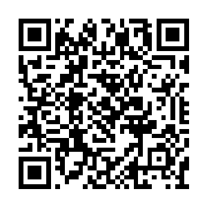他的这种超级增幅固然可以为他带来恐怖的实力二维码生成