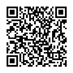 他的这身打扮就跟当年年轻时候的张大导演一模一样二维码生成