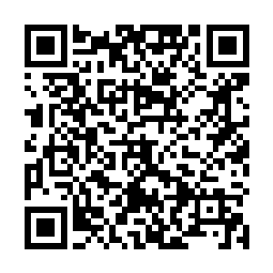 他的选择也就一目了然了……随后汤尼也是相当干脆的二维码生成