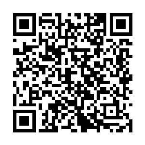 他的那些桃子即使能卖出天价也绝对卖不出几个亿二维码生成