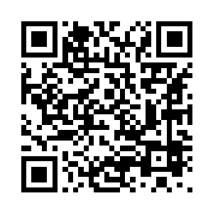 他的那双看起来并不是很硕大的拳头二维码生成