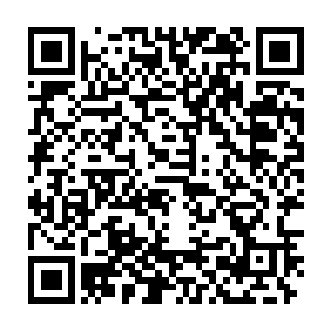 他的那条由桃木幻化出的手臂已经被那道身影挥出的一抹白光无情斩断二维码生成