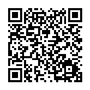 他的阴神也开始不断的吸收着识海之内的地元魂息二维码生成