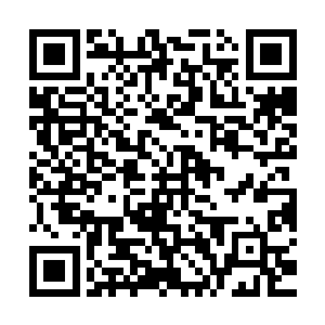 他的隐隐鼓动并未让切萨雷有丝毫心动――这也在他的意料之中二维码生成