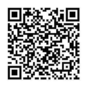 他的面前是一个银色长发躺在地上满身血污的少女二维码生成