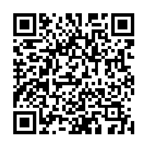 他的龙化是依托在金圣龙本源之力的基础上施展出来的秘术二维码生成