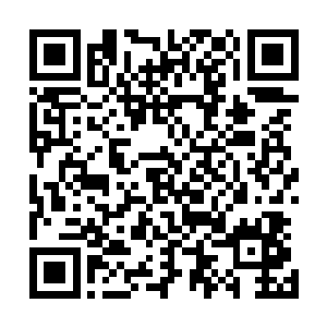 他目不转睛的看着那只头狼将身边的几只母狼一一就地正法二维码生成