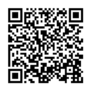 他目前出演的作品都是艺术价值大于商业价值的二维码生成