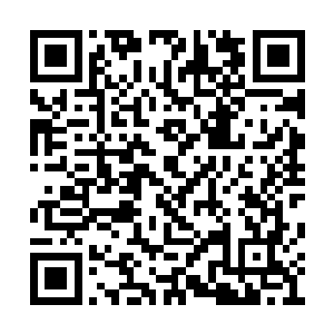 他直接从怀里取出了一张覆盖着许多花纹的卷轴二维码生成
