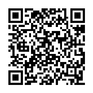 他相信以萧易刚才一直躲避他的攻击的表现来看二维码生成
