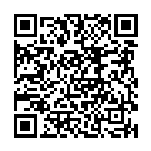 他相信如果再加大愿力召唤时出现的效果将会更惊人二维码生成