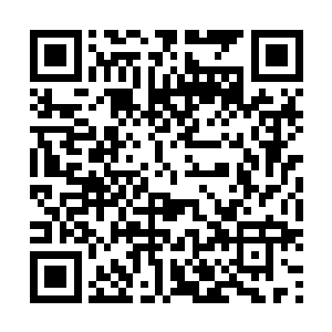 他相信就算没吃过稻米的人第一次吃也不会排斥这种粮食二维码生成