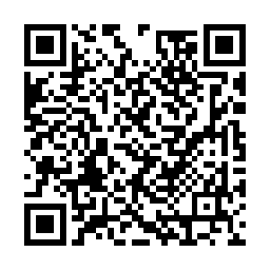 他相信这个领主能以一己之力在南方闯出一番名头二维码生成