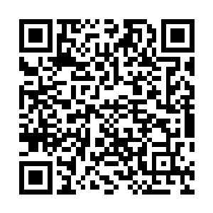 他相信陆为民在自己这个年龄的时候可以比自己走得更好二维码生成