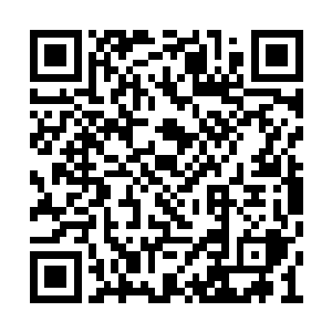 他看了眼地上元白的尸体和已经昏死过去的李安二维码生成