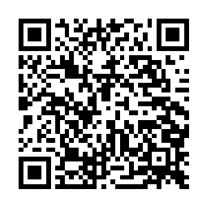 他看到一个巨大如太阳一般的火红光团守护在通道一侧二维码生成