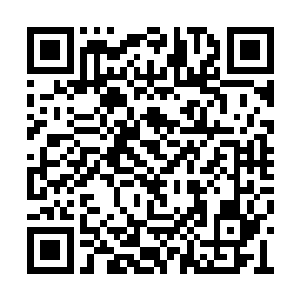 他看到了一个笑意从潋滟美眸中快溢出来的苏落二维码生成