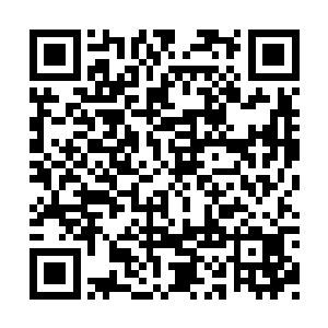 他看到了已经快要跑到被人群包裹的米紫安身边二维码生成