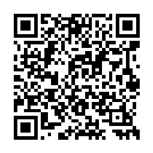 他看到了朱晋岩和亚德里恩脸上露出的得意笑容二维码生成