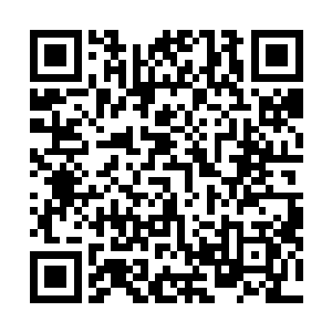 他看到了自己的儿子和那几个被夏天救回来的焚天宗弟子二维码生成