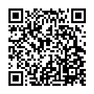 他看到了自己的心上人正不顾形象地坐在草地上揉着腿二维码生成