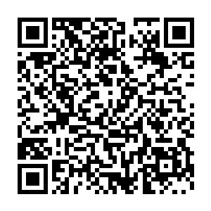 他看到了走廊里整整齐齐六台餐车……以及隔壁同时推开的六扇门二维码生成