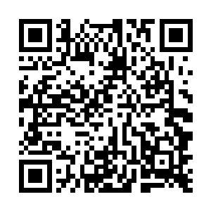 他看到在一条青石铺路的小巷深处有一个客栈还算幽静二维码生成