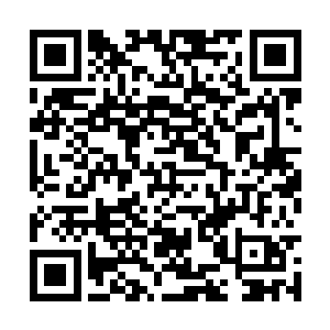 他看到的是一名星殿的高手正在和人脉的高手战斗二维码生成