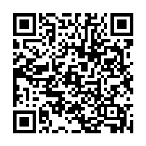 他看向夏老七和张虎两个山寨寨主时都充满了骄傲二维码生成