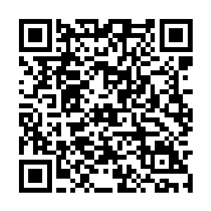 他看比赛主要是想事实跟踪观察荣光的表现和状况二维码生成