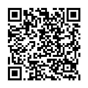 他看着女皇这个和自己手上几乎一模一样的戒指二维码生成