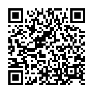 他看着特蕾西就好像在目睹一场恢弘而盛大的自我毁灭表演二维码生成