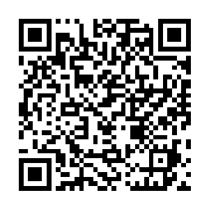 他看着脚下的一根钢筋棍直接用脚尖一挑便落到自己手上二维码生成