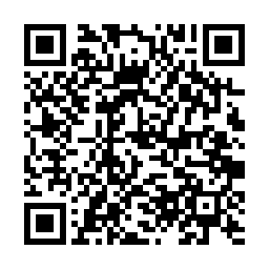 他看见一个粉雕玉琢的小女孩俏生生地站在自己面前二维码生成