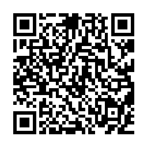 他看见车前盖上散落着不少零零星星的像是羽毛之类的东西上二维码生成