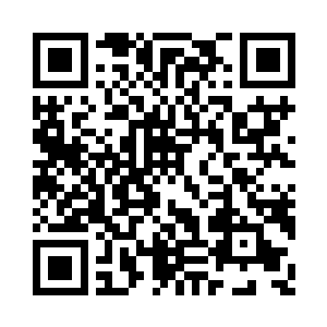 他真是迫不及待想看到这个世界的小正了二维码生成