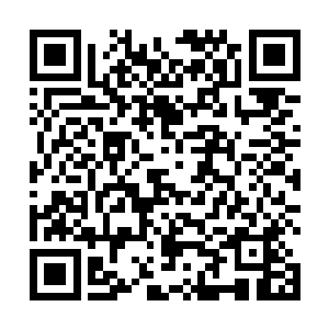他真有能灭杀除白彪之外的其他所有虎蛟族修士的本领二维码生成