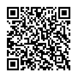 他真正的目的是想用五行空间种植一些化污植物二维码生成