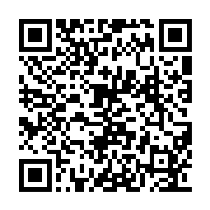 他真没想到星火诀竟然还藏有如此诡异的破坏力二维码生成