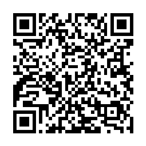 他真的不敢去赌这几个医生的那个不到百分之五的机率二维码生成