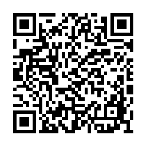 他真的很害怕许紫烟当场说出那株生阳草有问题二维码生成